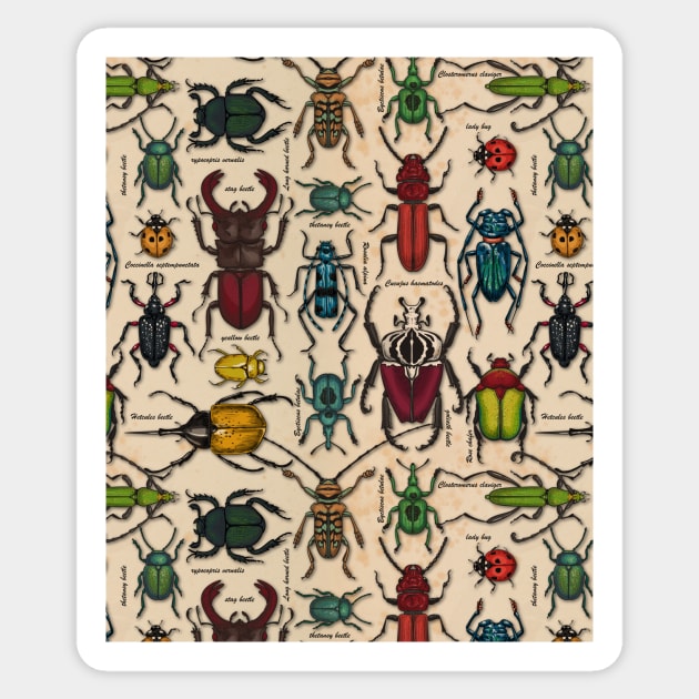 Beetles on off white Sticker by katerinamk